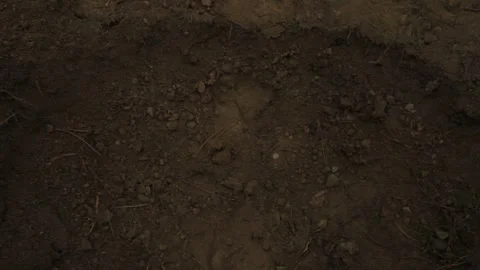The soldier falls to the ground 5 Stock Footage 323017547