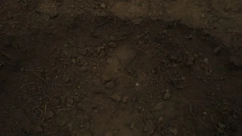 The soldier falls to the ground 7 Stock Footage 323017678