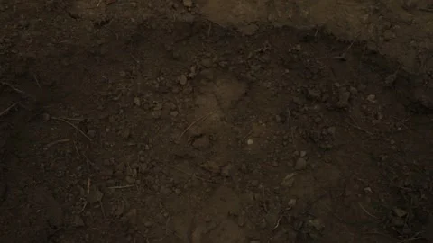 The soldier falls to the ground 9 Stock Footage 323017769