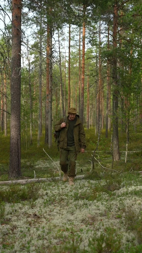 A soldier in gear and with a backpack is walking through a coniferous forest Stock-Footage 310319080