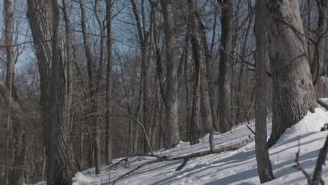 A Soldier Hikes with a Heavy Backpack in the Snow Stock Footage 83564189