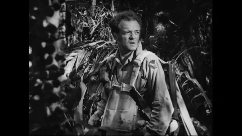 Soldier pull down and release the parachute from the tree - 1944 Stock Footage 108054357