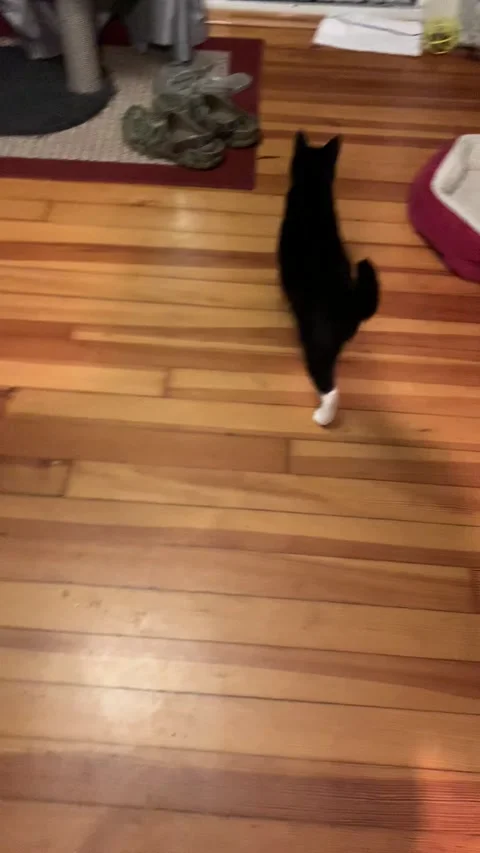 Soldier Returns From Basic Training But Parents Tested Positive for COVID, Linco 库存影片 205332763