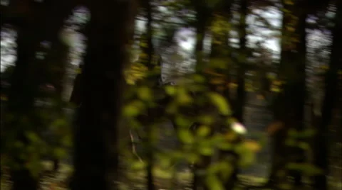 Soldier riding to battle Stock Footage 40478134