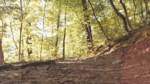 A Soldier Runs Through A Forest Stock Footage 87429616