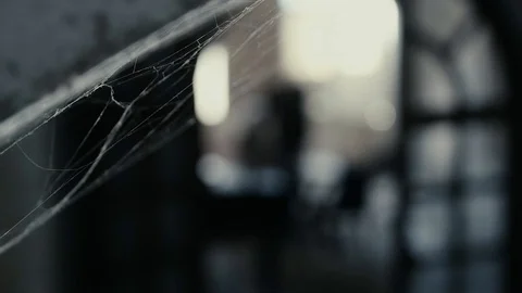 Soldier of the Russian army interrogates a suspect, an elderly man with a beard Stock Footage 100372818