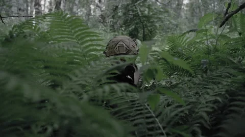 Soldier sits in ambush in a dense deciduous forest Stock Footage 327350729