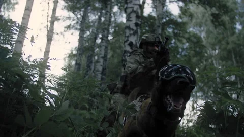 Camouflaged Sniper in the Forest Stock Image - Image of enemy