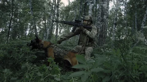 Sniper reload his rifle in forest Stock Photo by ©Nesterenko_Max 89103288