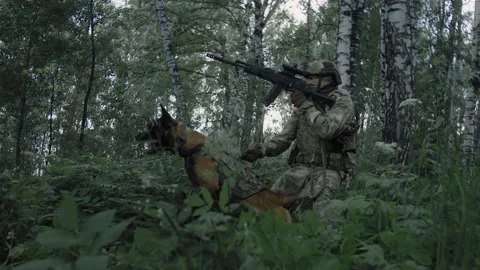 Camouflaged Sniper in the Forest Stock Image - Image of enemy