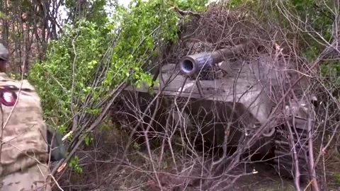 A soldier throws branches from a tank hidden among the trees. Real War Video stock 252530136