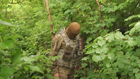 A soldier watching the enemy army in a forest shelter Stock Footage 201650346