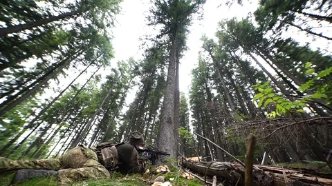 Soldier in the Woods 2 Stockbeeldmateriaal 95273705