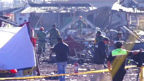Soldiers and rescue dogs working in the "San Pablito" pyrotechnic market. Stock Footage 78260341