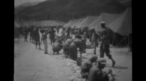 Soldiers cleaning the rifles Stock Footage