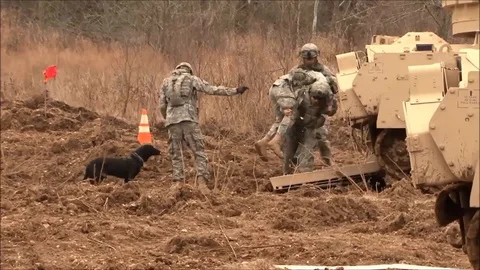 Soldiers conduct basic training during one station unit training - 2015 Stock Footage 105794311