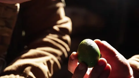 Soldiers Cracking Easter Eggs in Trench Stock Footage 346064435