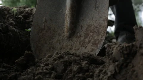 Soldiers digging Stock Footage 49220559