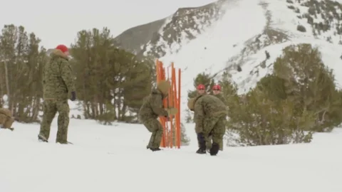 Soldiers doing warm up exercises in the snow Stock Footage 110885463