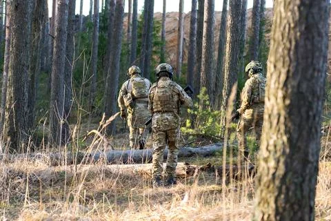 Soldiers in the forest. Stock Photos