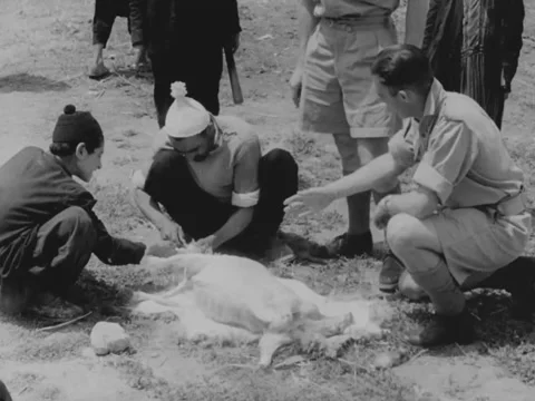 Soldiers interact with Middle Eastern villagers Video stock 158025072