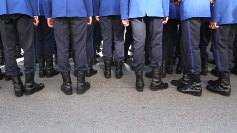 The soldiers lined up in columns Stock Footage 101871044