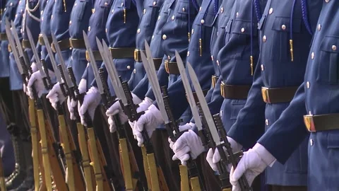 Soldiers lined up  Video stock 160150422