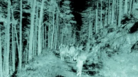 Soldiers marching in the forest at Night Video stock 10712808