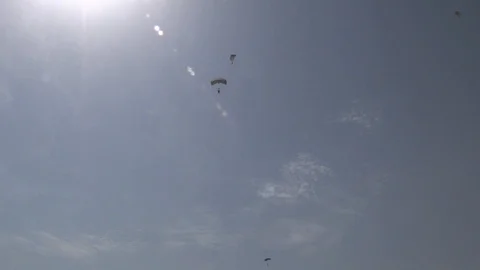 Soldiers Parachuting Seen From the Ground Video stock 128552986