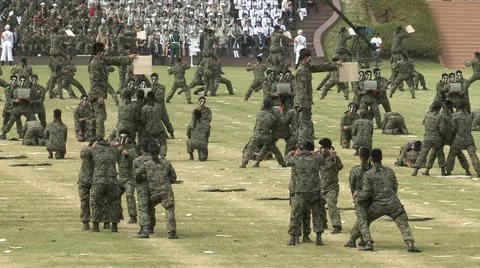 Soldiers Parade Video stock 12202448