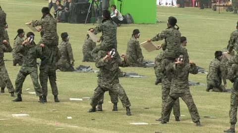 Soldiers Parade Video stock 12202623