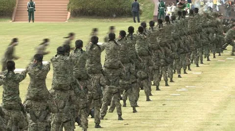 Soldiers Parade Video stock 12202667