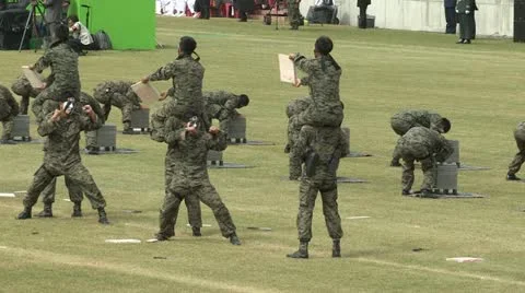 Soldiers Parade Video stock 12202682