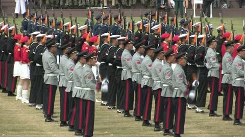 Soldiers Parade Video stock 12202908