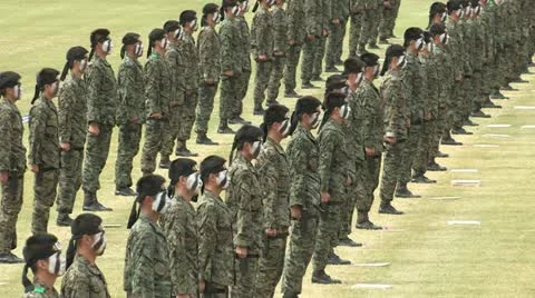 Soldiers Parade Video stock 12203027