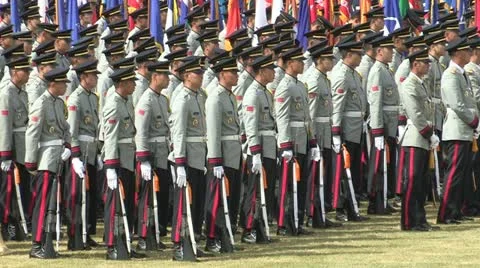 Soldiers Parade Video stock 12203416