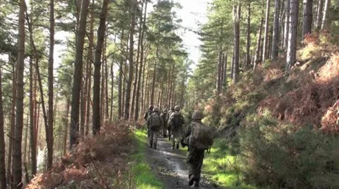 Soldiers on patrol Video stock 10712184