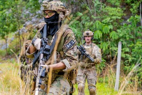 Soldiers perform training exercise in forested area during day Foto stock