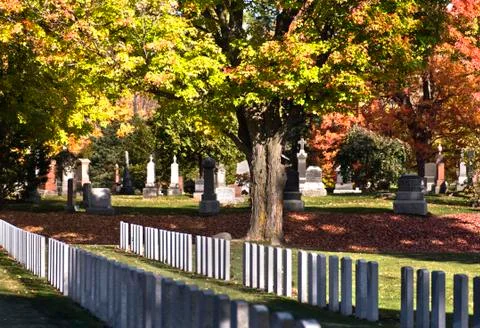 Soldiers resting in fall Stock Photos