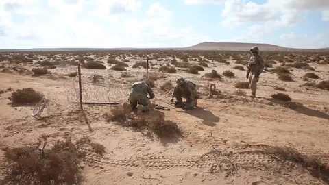 Soldiers setting explosives charge in desert during exercise African Lion Stock Footage 105646743