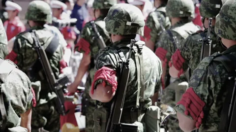 Soldiers standing in a parade Stock Footage 31851253