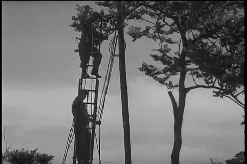 Soldiers string electric lines in jungle - 1942-1943 Stock Footage 104653781