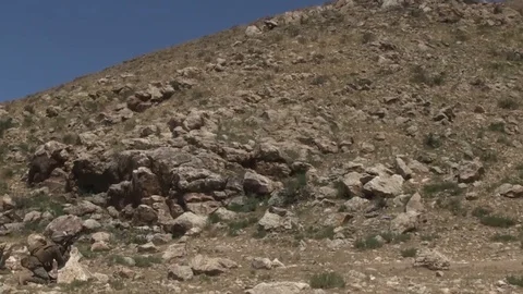 Soldiers training in attack simulation on a hill Stock Footage 109575597