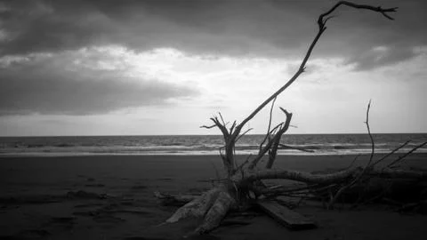 Soledad Stock Photos