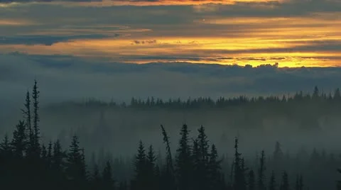 Solemn Sunset Mist Forest Stock Footage 11148981