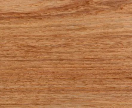Solid American Hickory wood texture background in filled frame format Stock Photos