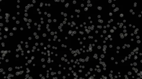 A solid array of small soap bubbles rising against a black background, each of Video stock 154318310