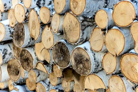 Solid background birch chocks. Obsolete fuel for home heating in winter. Logs of Stock Photos