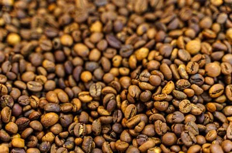 Solid background of coffee beans. Top view, close-up. Foto stock