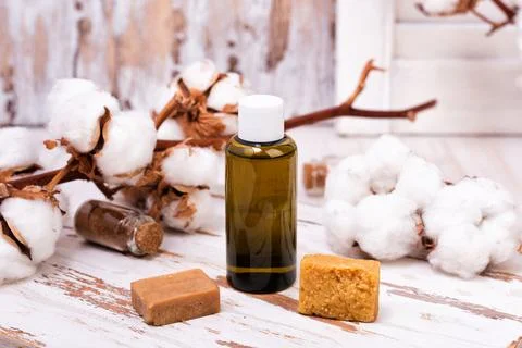 Solid bars of organic shampoo and bottle of shower gel. Stock Photos